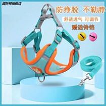 Vest-style dog traction rope small dog teddy bib bear boobs and chest harness puppies puppies DOG ROPE DOG CHAIN SUB