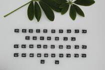 Size buckle clothing size label for trousers rack trousers size circle number number sub-code grain u-shaped