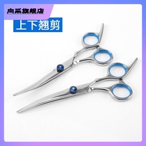 Pet Scissors Beauty Tool Kit Decoration Hair Cut 6 Inch Straight Cut Bend And Cut Pooch Teddy Haircut Tool God