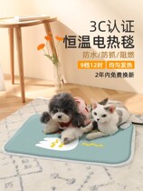 Pet Electric Blanket Small Heating Mat Cat With Kitty Warmer Pooch Thermostatic Electric Bedding Insulated Fever Waterproof