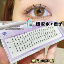 Art Research Nai Fake Eyelash Woman Nature Emulation Sectional Graft Single Tuft Single Root A Type Fairy Woolen Eyelash Eyelash Self-Adhesive