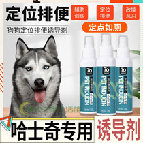 Haersk Special Pet Anti-Dog Urine-Inducing Agent Pooch Defecation to locate the divinity Urinary Urine Pull