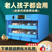 Automatic incubator household type chicken duck goose incubator pigeon bird egg small incubator box