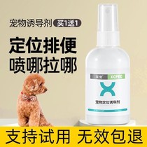 Pet kitty dog-inducing agent bowels on the toilet pee urine pull poop positioning fixed point defecation training liquid guide