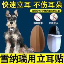 Dubin Lier der Wolf Green Straightener Ear Patch Pet Dog Ears Erect training bracket Stick Glue Stick