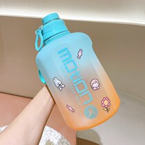 Large Capacity Plastic Cup With Straw Gradient Color Frosted Kettle Sports Outdoor New Anti-Fall Net Red Ton BARREL Woman