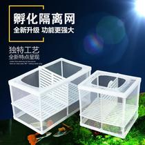  Fish tank isolation box Isolation box propagation Independent protection Small pregnancy sepkage fish tropical small production house breeders