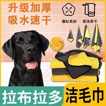 Labrador Special Dog Shower Super Water Suction Heat Towels with Towels Labrador Large Dog Strong Bath Towels