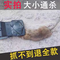 Mouse Clamp Automatic Mouse Household Mouse Artist Cloth Plate Strong adhesive rat stick