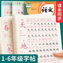 Primary students practice posts and typewriters train the book synchronization of children teaching version hard textbook