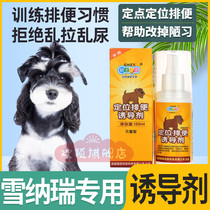 Snownery special training toilet liquid pooch on the toilet positioning defecation-inducing agent to relieve the bowels and guide the deity