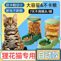 Fields Garden Beaver Flowers Cat Special Pets Cat Kittens Automatic Feeder Drinking Water Integrated Flow Without Plugging in Power Water Divine