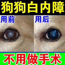 Dog cataract eye drops pet cat eye cleaning glaucoma vision loss cataract imported from Japan