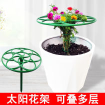 Sunflower shelf lollipop bracket crab claw orchid grafting fixed leaf fairy green radish single multi-layer support climbing vine shape