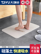 Ground Fish Speed Dry Silicon Algae Clay Ground Mat Bathroom Non-slip Water Absorbent Pad Kieselguhr Doorway Waterproof Foot Mat