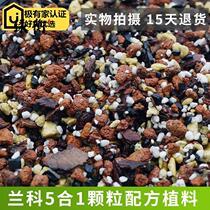 Boutique Orchid Earth Special Grain Broccoli Plant Material Plant Ginorchiuranko Upscale Finely Matched Breathable Bark Hard Matrix