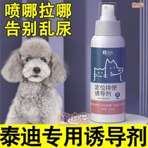 *Teddy special pet dog fixed-point defecation inducer toilet training pee and poop artifact