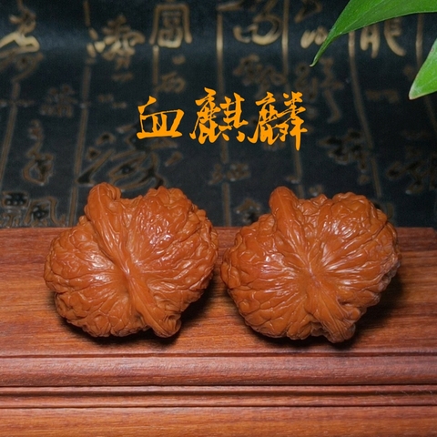 核桃血麒麟精选和核桃血麒麟品牌价格与图片-淘宝商品网