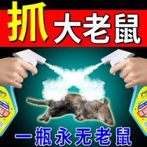 You will die when you smell it) Three-step mouse-killing special-effect magic medicine for home use