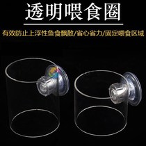 Fish tank Floating Fish Food Feeding Circle Plastic Transparent Feeding Ring Feed Anti-Drifting feeding Circle Large Number of Small Number