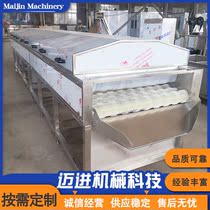Fruit Cleaner Grape Cleaner Sea Oysters to sand cleaning equipment Apple polished brush cleaner