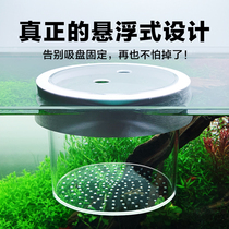 Suspended Isolation case Acrylic Fish Tank Isolation Case Rearing Box Spawning fishes Eggs Isolation Net Three Lake Heteromorphic