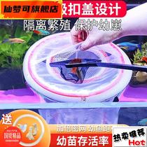 Peacock fish breeding case small fish production of aquarium fish tank isolated net hatching dense net floating mesh multifunctional hatching net