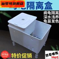 Aqua Turtle Isolation Case Hatching Mini Tortoise Tank Water Egg Tortoise Fry Rearing Black & White Hair Color Belt Hook Transparent