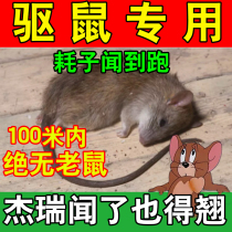 Strong and effective rat-killing the rat-killer Avoiding Rat Cream Super Force One Smelling of the Dead Home Interior Tracking Cream Mousetrap end of the day