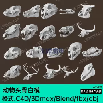 骨头3d模型-骨头3d模型促销价格、骨头3d模型品牌- 淘宝