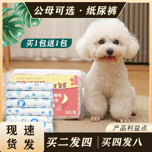 Собачья физиологические штаны, моча без влажных брюк мочи, домашние животные, менструальная период Тедди собака Специальная санитарная тетя тетя черепаха девушка