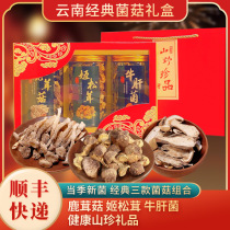 Yunnan mountain rare mushroom dry goods gift box mushroom soup bag gift season new mushroom Agaricus velvet antler mushroom boletus combination
