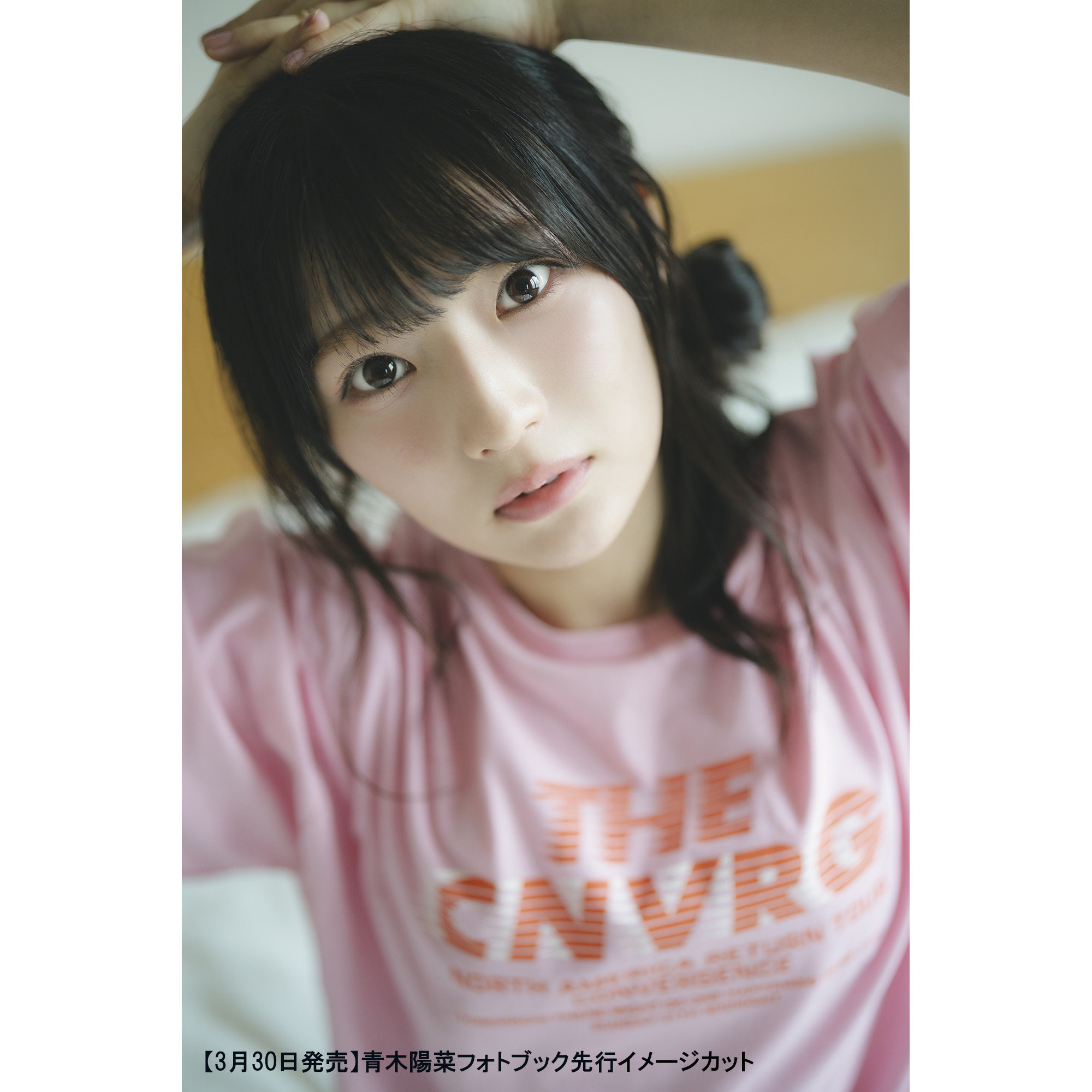 青木阳菜-青木阳菜促销价格、青木阳菜品牌- 淘宝