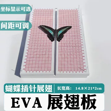 展翅板　24個 昆虫展翅板-昆虫展翅板促销价格、昆虫展翅板品牌- 淘宝