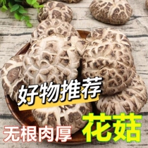 Hangwood wild flower mushroom dry 500g meat thick powder mushroom mushroom and small winter mushroom dry mushroom is not the whole
