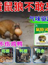Weasel-repelling special medicine artifact once smelled all ran away raising chickens anti-weasel nemesis scaring weasel medicine repelling medicine