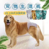 Pooch physipants Labrador gold wool with large canine dog Menstrual Pants Dogs Anti Harassing Pet Safety Pants