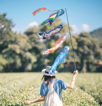 Hot carp flagtap Su childrens toy sail and décor flag and wind flag shop decoration flag