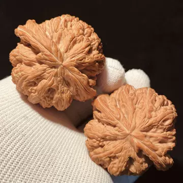 45原桩大粗筋核桃 文玩 文玩核桃大粗筋-文玩核桃大粗筋促销价格、文玩核桃大粗筋品牌- 淘宝