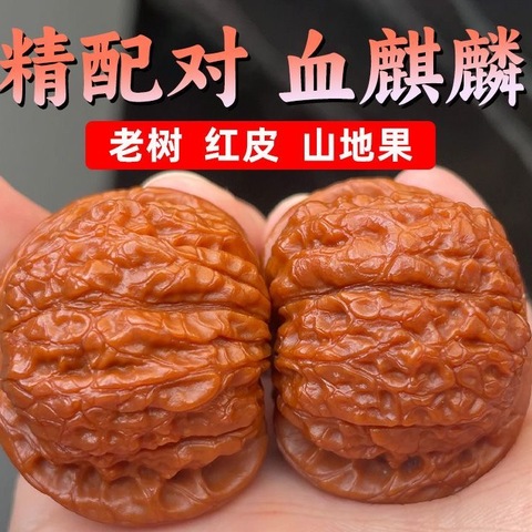 文玩核桃血麒麟精选和文玩核桃血麒麟品牌价格与图片-淘宝商品网