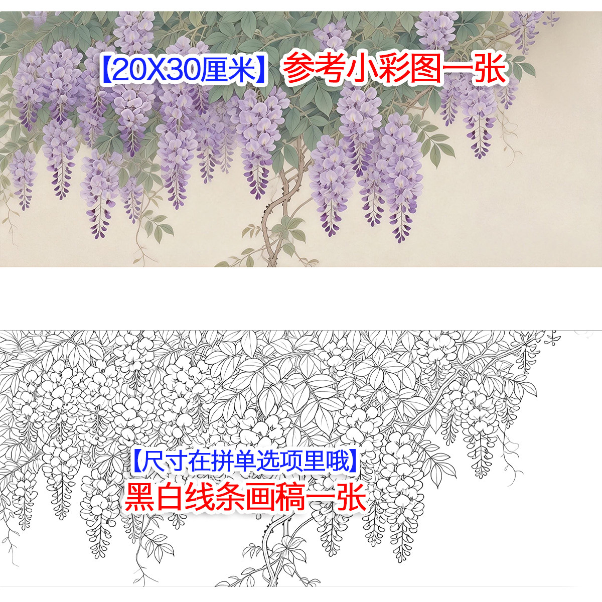 紫藤花线稿-紫藤花线稿促销价格、紫藤花线稿品牌- 淘宝