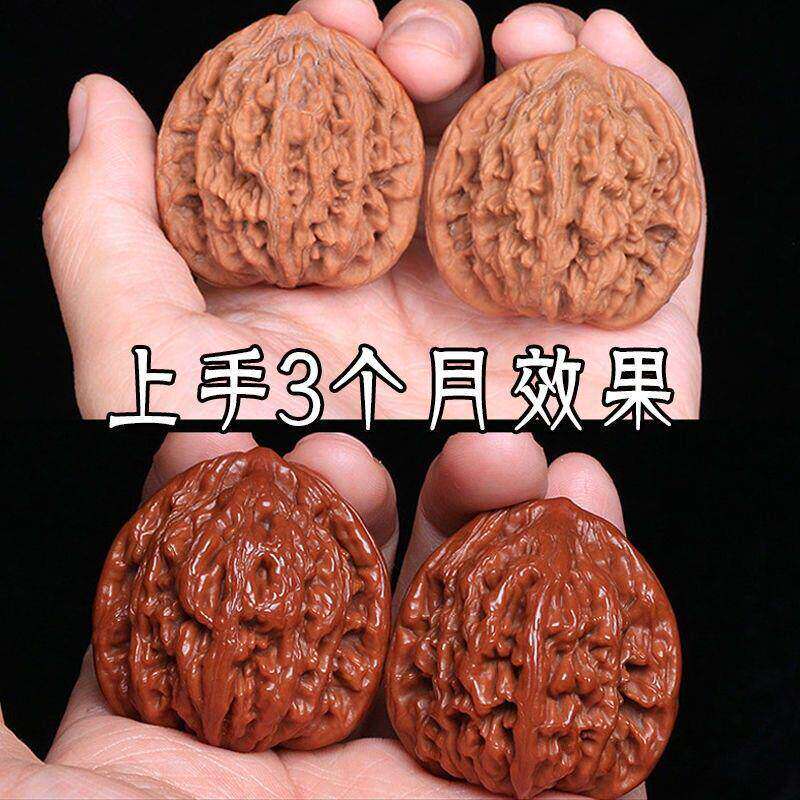 极品大沽石 核桃 文玩クルミ 【公式通販】