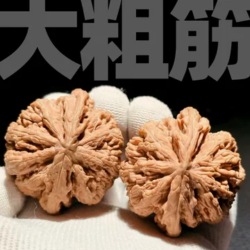 45原桩大粗筋核桃 文玩 45原桩大粗筋核桃 文玩 文玩核桃45排行- 京东