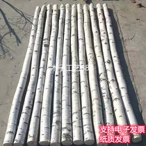 Northeast white birch tree dry tree pole wedding arch decoration dry flower window porch tree partition background wall log tree