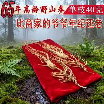 人参长白山野山参50年-人参长白山野山参50年促销价格、人参长白山野山 