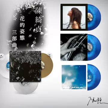 華麗的冒險 陳綺貞黑膠唱片￼￼ 陳綺貞- 華麗的冒險| cdhkonline.com