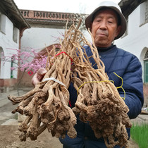 Wild Ludang ginseng Shanxi Changzhi Pingshun Shangdang Super Grand Middle Bar Poverty Alleviation Sulfur-free Wild Dangshen 250g