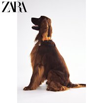 ZARA winter New stitching collar PET COLLECTION 06399018615