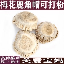 Changbai Mountain Jilin plum deer antler powder plum blossom antler powder deer tray powder treasure mother breast milk milk