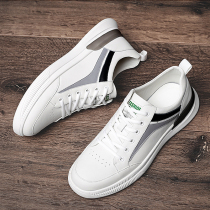 Ins tide winter Joker white shoes men's low-top flat shoes men's tide shoes net red students Korean casual board shoes